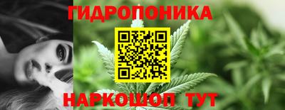 Альфа ПВП Рузаевка